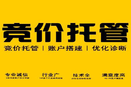 SEM推广实战：成功案例剖析